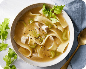 Chicken Noodle Soup